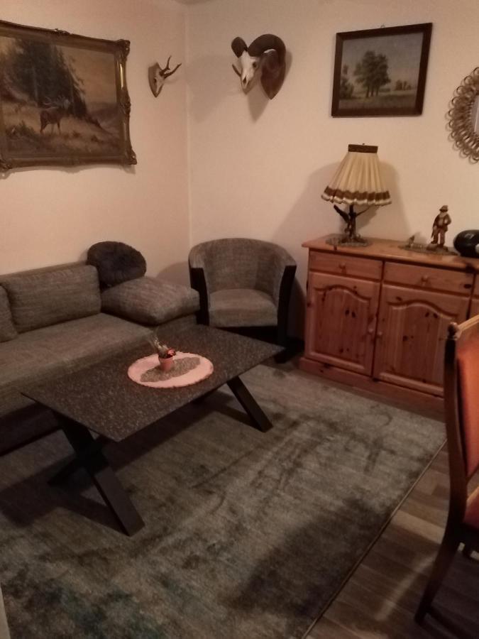 Ferienhaus Schulenberg Βίλα Friedrichsbrunn Εξωτερικό φωτογραφία