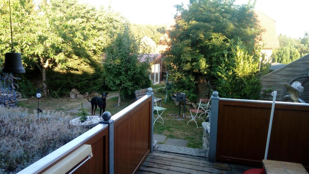 Ferienhaus Schulenberg Βίλα Friedrichsbrunn Εξωτερικό φωτογραφία